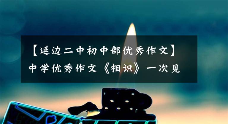 【延边二中初中部优秀作文】中学优秀作文《相识》一次见面,勾起回忆