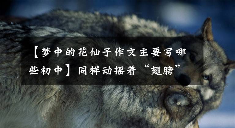 【梦中的花仙子作文主要写哪些初中】同样动摇着“翅膀”。女明星像诛仙一样美丽,四个惊人,有的像破壳蛾。