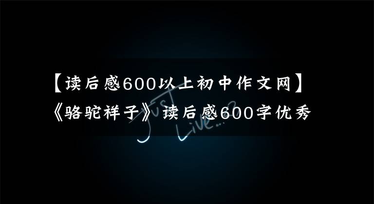 【读后感600以上初中作文网】《骆驼祥子》读后感600字优秀作文