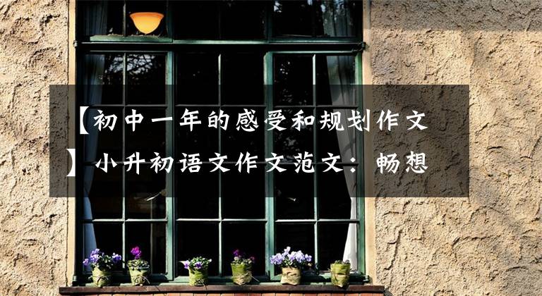 【初中一年的感受和规划作文】小升初语文作文范文:畅想未来的中学生活