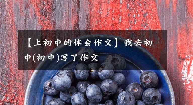 【上初中的体会作文】我去初中(初中)写了作文