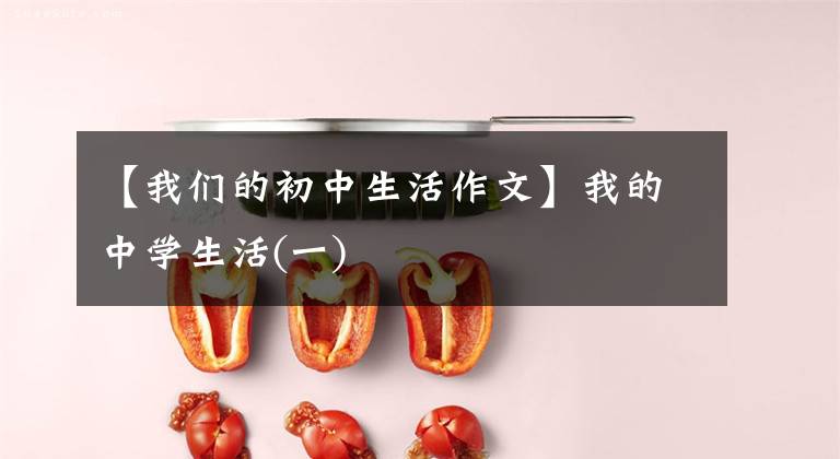 【我们的初中生活作文】我的中学生活(一)