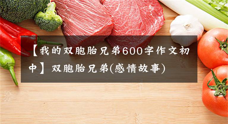 【我的双胞胎兄弟600字作文初中】双胞胎兄弟(感情故事)