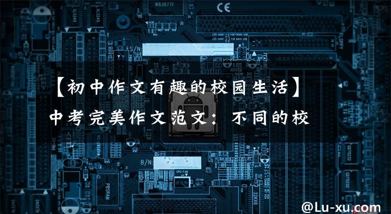 【初中作文有趣的校园生活】中考完美作文范文:不同的校园生活