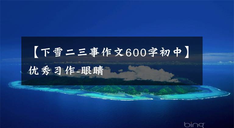 【下雪二三事作文600字初中】优秀习作-眼睛