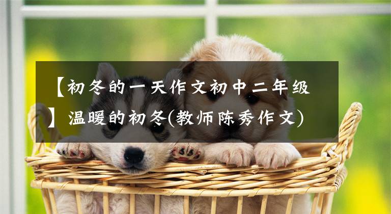 【初冬的一天作文初中二年级】温暖的初冬(教师陈秀作文)