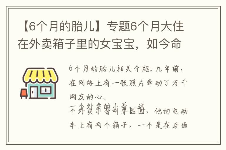 【6个月的胎儿】专题6个月大住在外卖箱子里的女宝宝,如今命运终于被阳光照耀