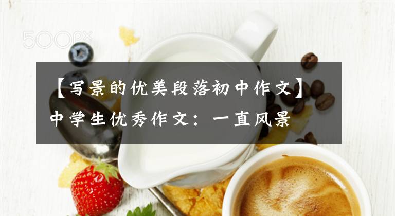 【写景的优美段落初中作文】中学生优秀作文：一直风景