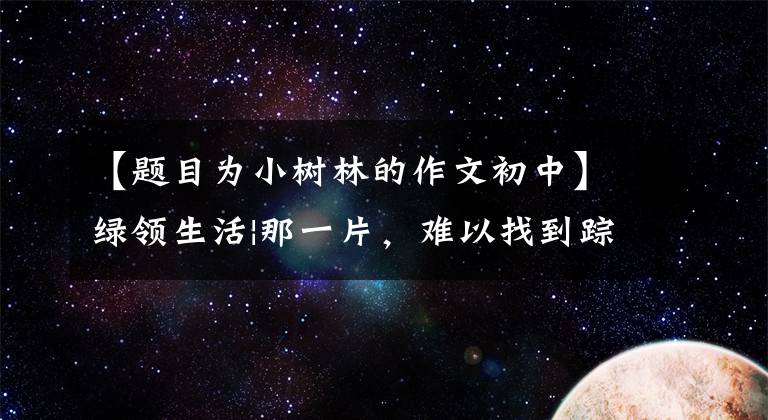 【题目为小树林的作文初中】绿领生活|那一片,难以找到踪迹的小树林
