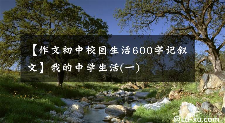 【作文初中校园生活600字记叙文】我的中学生活(一)