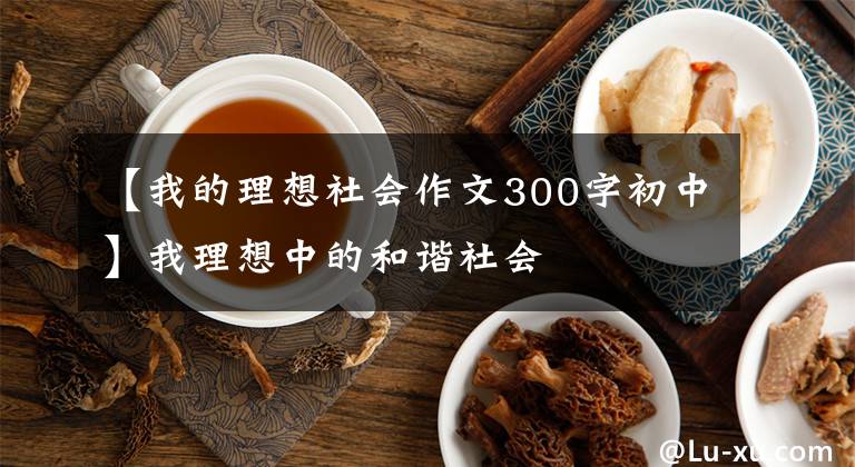 【我的理想社会作文300字初中】我理想中的和谐社会