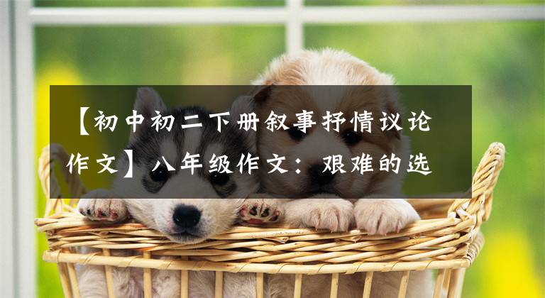 【初中初二下册叙事抒情议论作文】八年级作文:艰难的选择