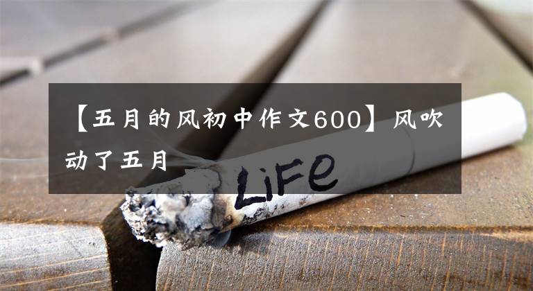 【五月的风初中作文600】风吹动了五月