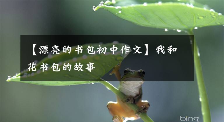 【漂亮的书包初中作文】我和花书包的故事