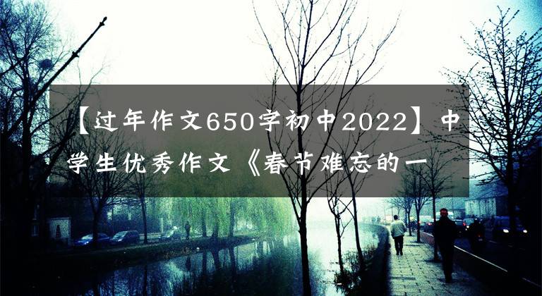 【过年作文650字初中2022】中学生优秀作文《春节难忘的一件事》 9篇