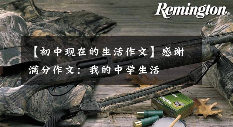 【初中现在的生活作文】感谢满分作文：我的中学生活