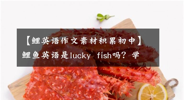 【鲤英语作文素材积累初中】鲤鱼英语是lucky fish吗?学这些单词很幸运up!