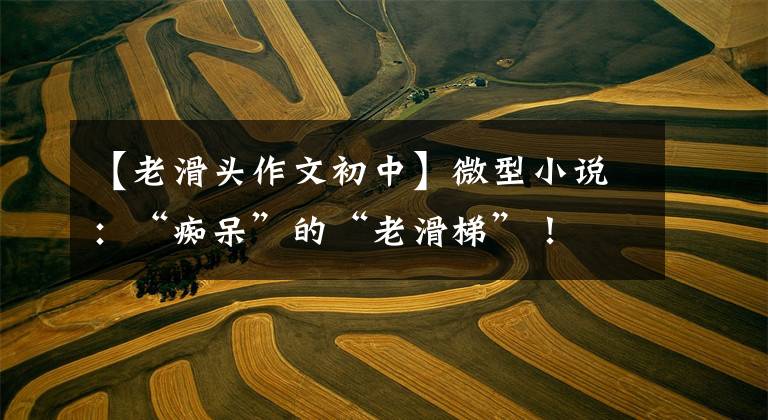 【老滑头作文初中】微型小说:“痴呆”的“老滑梯”!