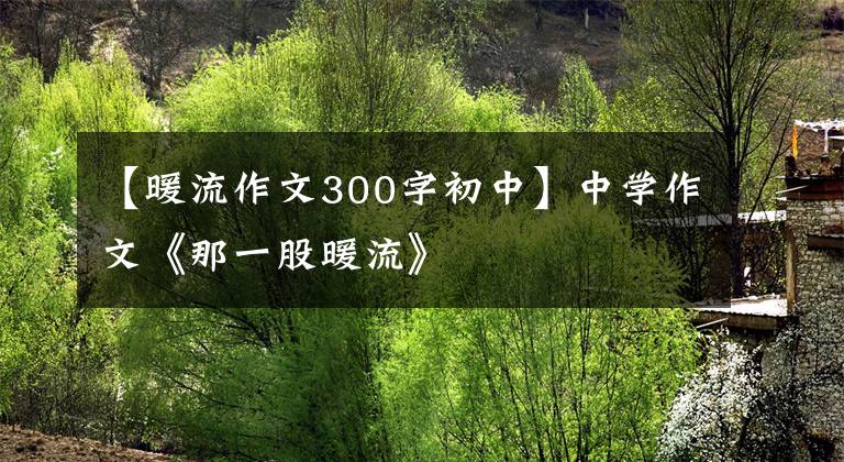 【暖流作文300字初中】中学作文《那一股暖流》
