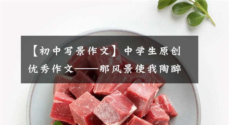 【初中写景作文】中学生原创优秀作文——那风景使我陶醉