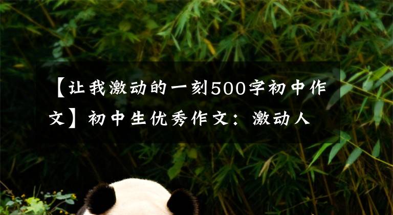 【让我激动的一刻500字初中作文】初中生优秀作文：激动人心的时刻