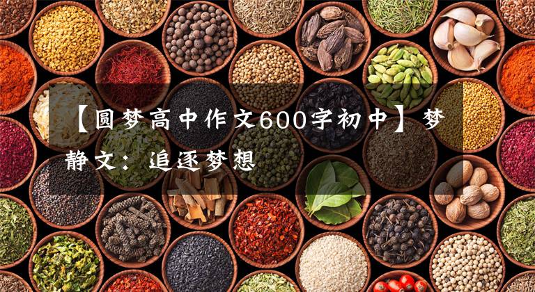 【圆梦高中作文600字初中】梦静文:追逐梦想