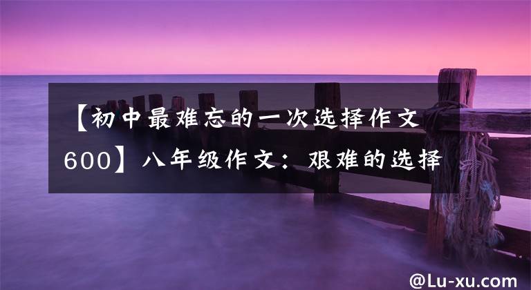 【初中最难忘的一次选择作文600】八年级作文:艰难的选择
