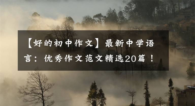 【好的初中作文】最新中学语言:优秀作文范文精选20篇!包括评论,给孩子上一课