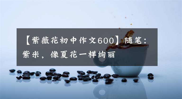 【紫薇花初中作文600】随笔:紫米,像夏花一样绚丽