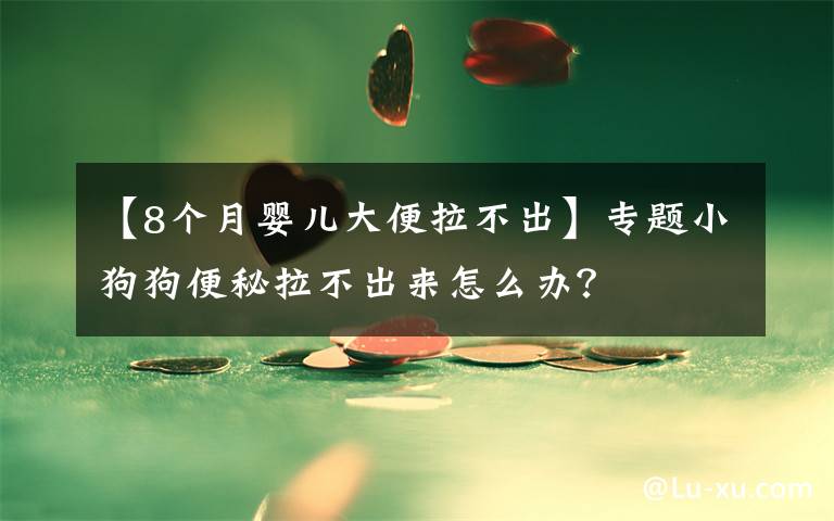 【8个月婴儿大便拉不出】专题小狗狗便秘拉不出来怎么办?