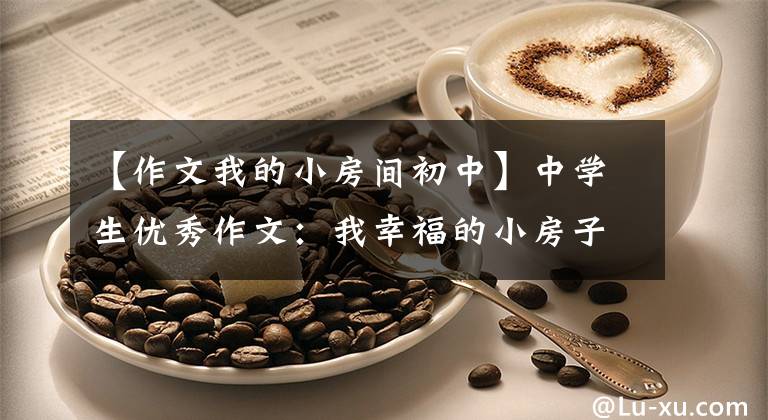 【作文我的小房间初中】中学生优秀作文:我幸福的小房子