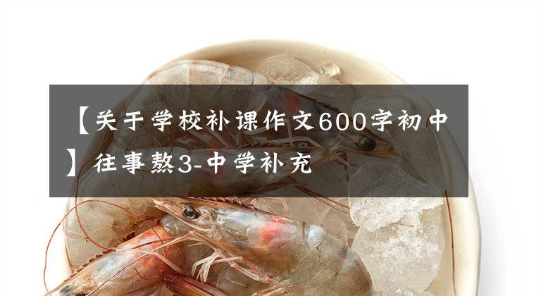 【关于学校补课作文600字初中】往事熬3-中学补充