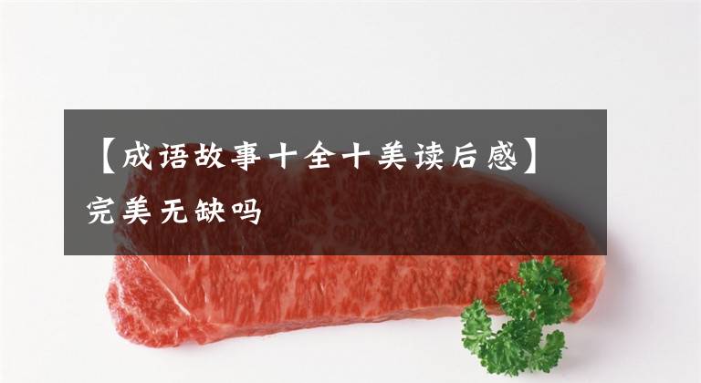 【成语故事十全十美读后感】完美无缺吗