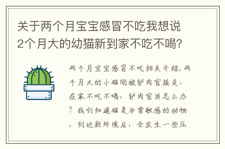 关于两个月宝宝感冒不吃我想说2个月大的幼猫新到家不吃不喝？新环境的饮食习惯培养很重要