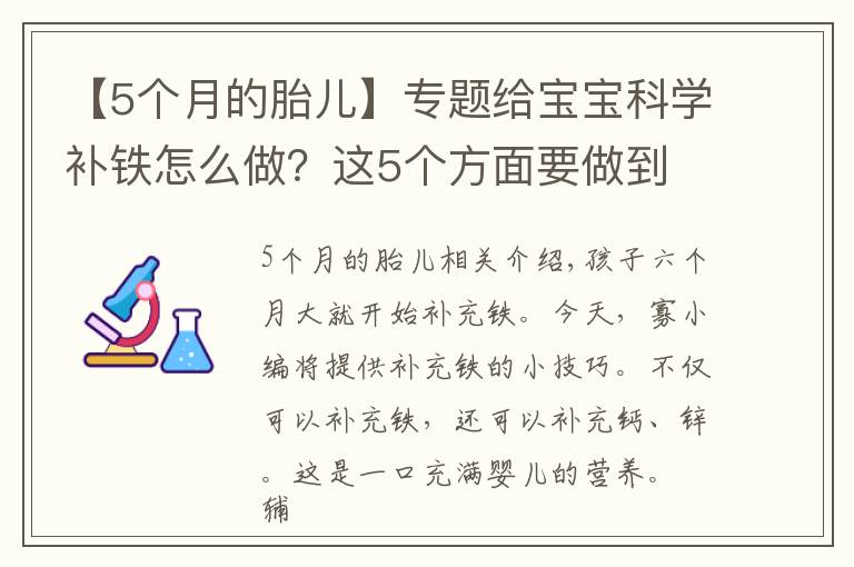 【5个月的胎儿】专题给宝宝科学补铁怎么做?这5个方面要做到