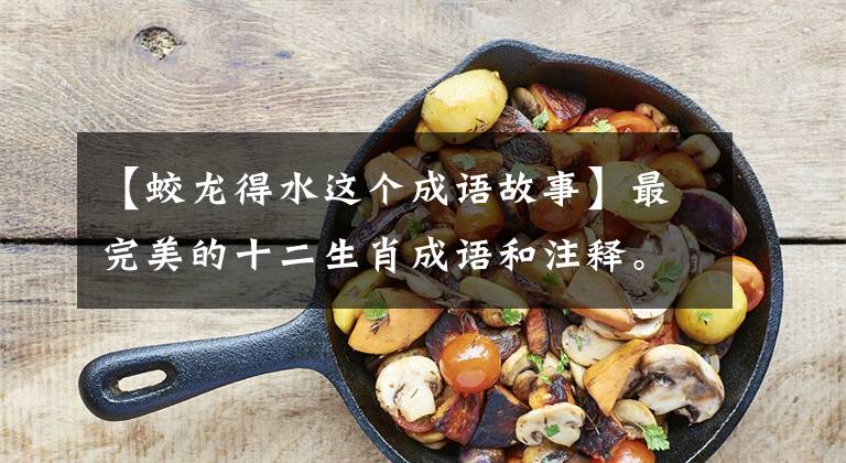 【蛟龙得水这个成语故事】最完美的十二生肖成语和注释。