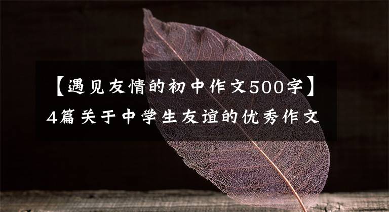 【遇见友情的初中作文500字】4篇关于中学生友谊的优秀作文