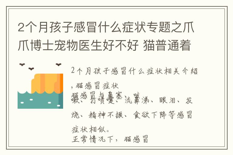 2个月孩子感冒什么症状专题之爪爪博士宠物医生好不好 猫普通着凉感冒有什么症状