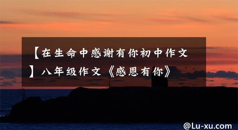 【在生命中感谢有你初中作文】八年级作文《感恩有你》