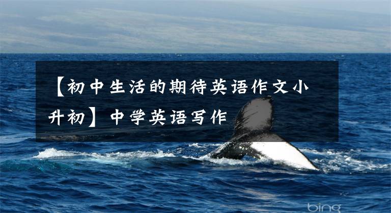 【初中生活的期待英语作文小升初】中学英语写作
