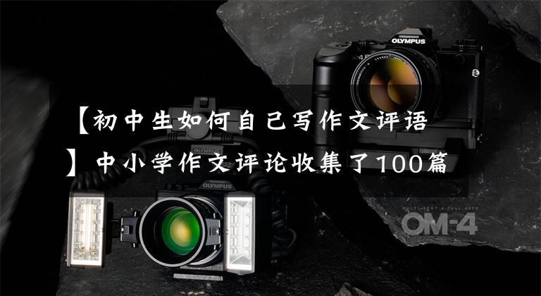 【初中生如何自己写作文评语】中小学作文评论收集了100篇,审查作文不再担心