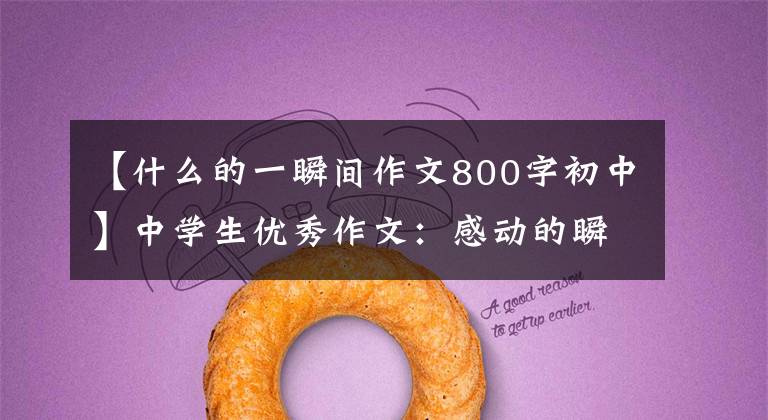 【什么的一瞬间作文800字初中】中学生优秀作文：感动的瞬间