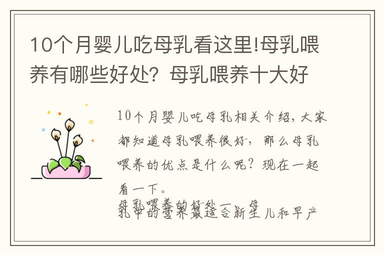 10个月婴儿吃母乳看这里!母乳喂养有哪些好处?母乳喂养十大好处