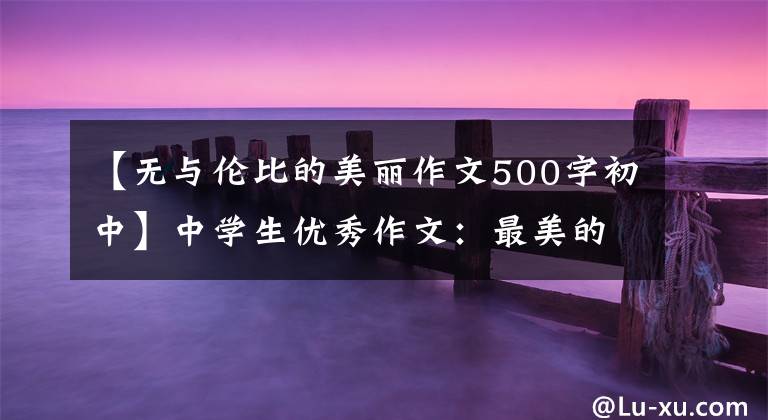 【无与伦比的美丽作文500字初中】中学生优秀作文：最美的风景
