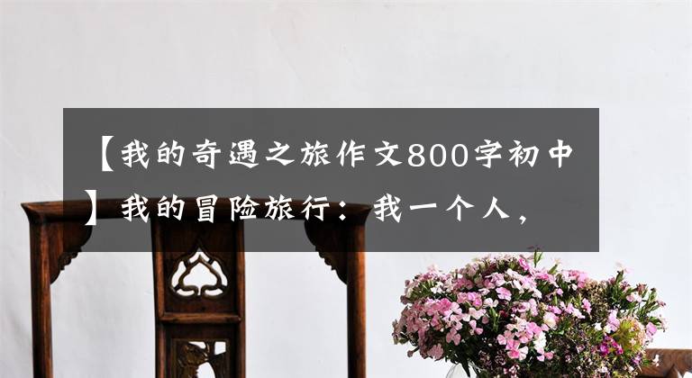 【我的奇遇之旅作文800字初中】我的冒险旅行：我一个人，想念我们三个—— 《我们仨》