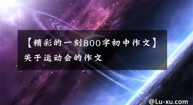 【精彩的一刻800字初中作文】关于运动会的作文