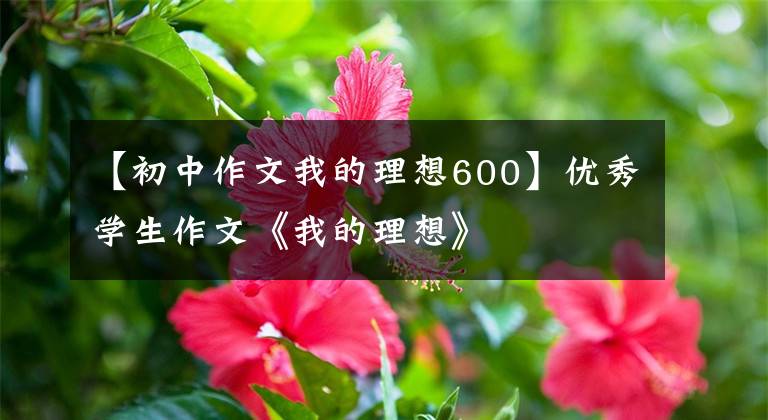 【初中作文我的理想600】优秀学生作文《我的理想》