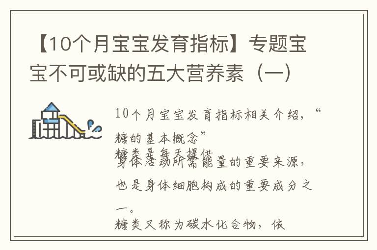 【10个月宝宝发育指标】专题宝宝不可或缺的五大营养素(一)