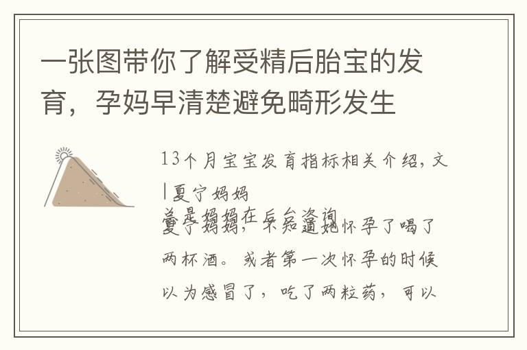 一张图带你了解受精后胎宝的发育，孕妈早清楚避免畸形发生