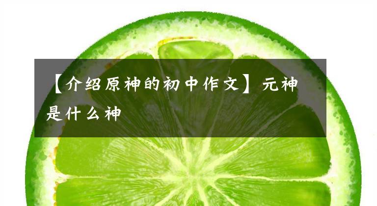【介绍原神的初中作文】元神是什么神